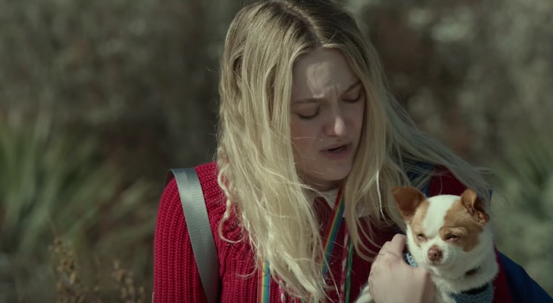 ネタバレなし スタートレックが好きな自閉症の少女の旅 500ページの夢の束 あらすじ 感想 ココ見てポイント Bear Town